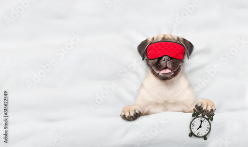 Pug puppy with towel on it head wearing sleeping mask sleeps on a bed at home and holds alarm clock. Top down view. Empty space for text photo