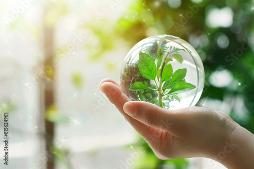 hand holds a glass sphere containing a small green plant, symbolizing nature and environmental care.