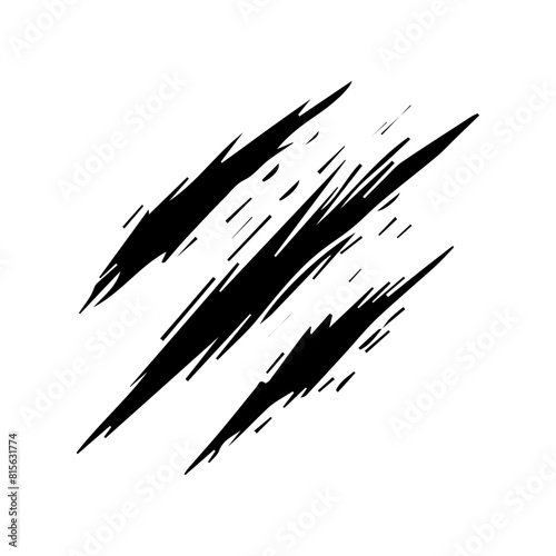 Wild animal claws scratch