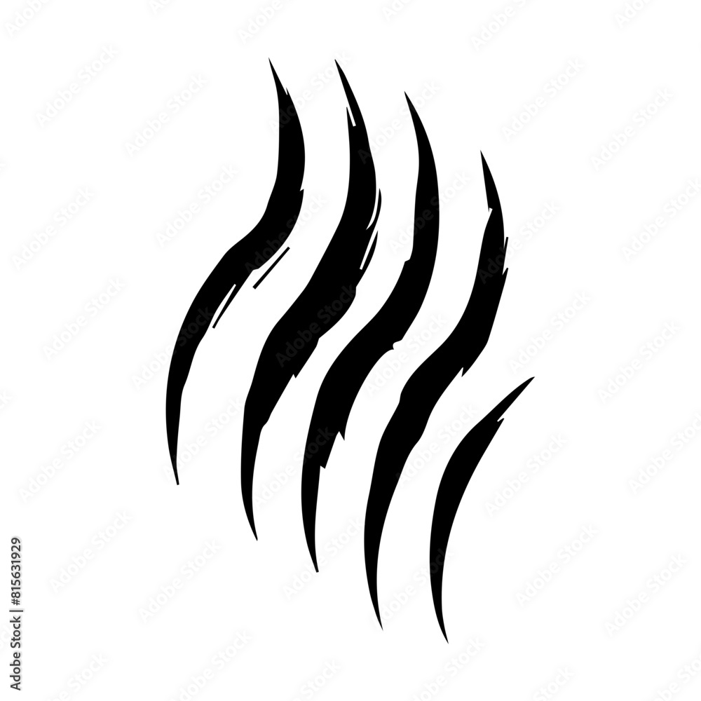 Wild animal claws scratch Wild animal claws scratch