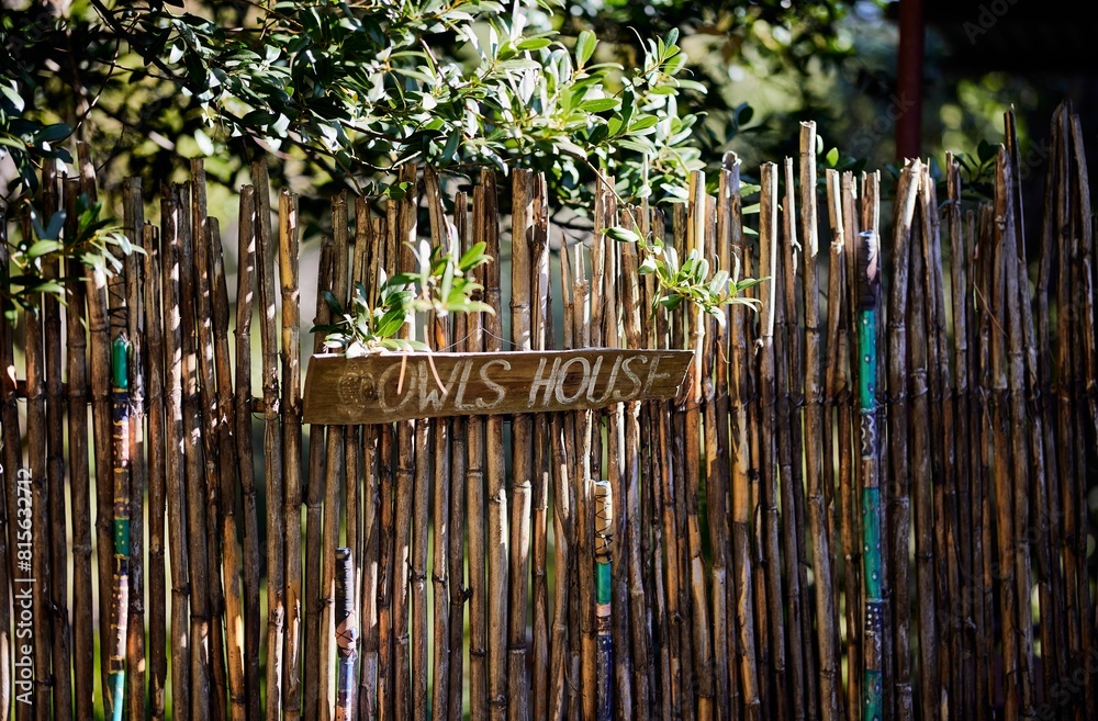 Obraz premium Old wooden fence with an 