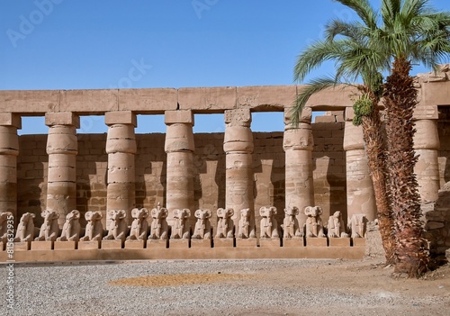 Part of the avenue of sphinxes that connects the temples of Luxor and Karnak in Egypt photo
