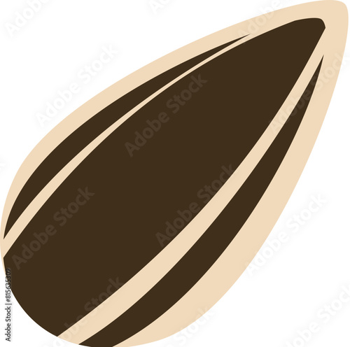 Melon seeds  in dark color