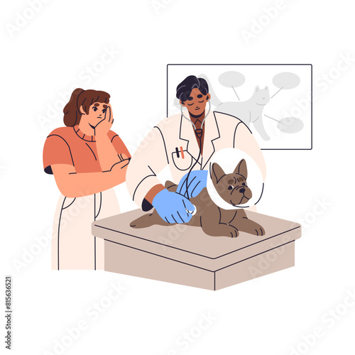 Veterinarian examines French bulldog with stethoscope. Ill dog is on checkup health, vet treatment. Owner cares about puppy, visits pet clinic. Flat isolated vector illustration on white background
