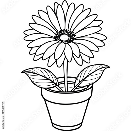 Gerbera Daisy flower outline illustration coloring book page design, Gerbera Daisy flower black and white line art drawing coloring book pages for children and adults
