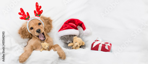 Yawning English Cocker spaniel puppy dressed like santa claus reindeer  Rudolf lying with cozy kitten under white blanket at home. Kitten hugs toy bears. Top down view. Empty space for text