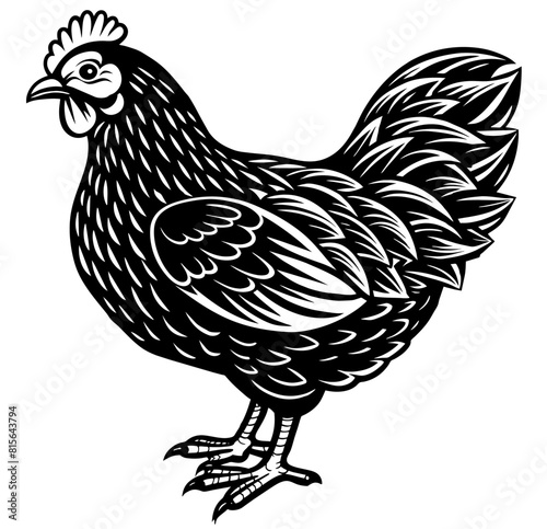 Vintage illustration of a grazing chicken that eats grain, monochrome linocut of a farm hen or fowl, suitable for agriculture logo