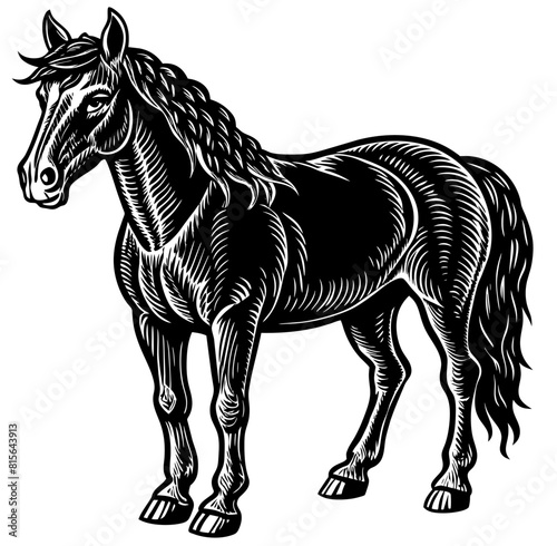 A horse, farm steed designed in a linocut print style, muscular form of animal in detailed artistic black and white stylized illustration