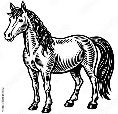 A horse, farm steed designed in a linocut print style, muscular form of animal in detailed artistic black and white stylized illustration