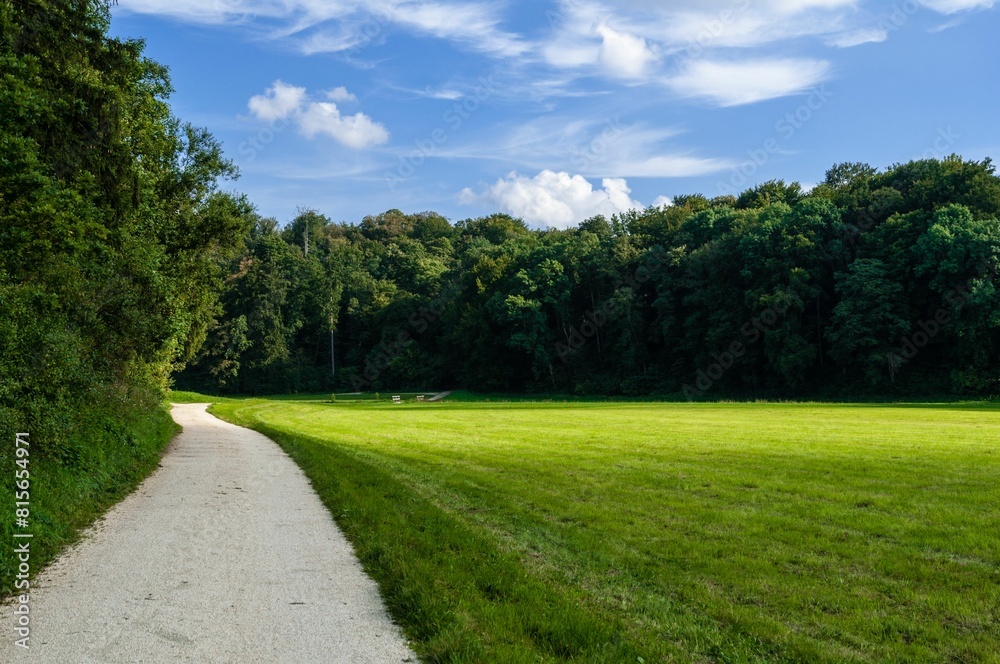 Winding path leads into a lush green field in a tranquil wooded area. Southern Germany Winding path leads into a lush green field in a tranquil wooded area. Southern Germany