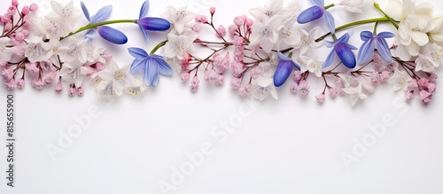 Spring decoration Frame of flowers white snowdrops blue scilla violet pink hollowroot on a white background with space for text Top view flat lay. copy space available photo
