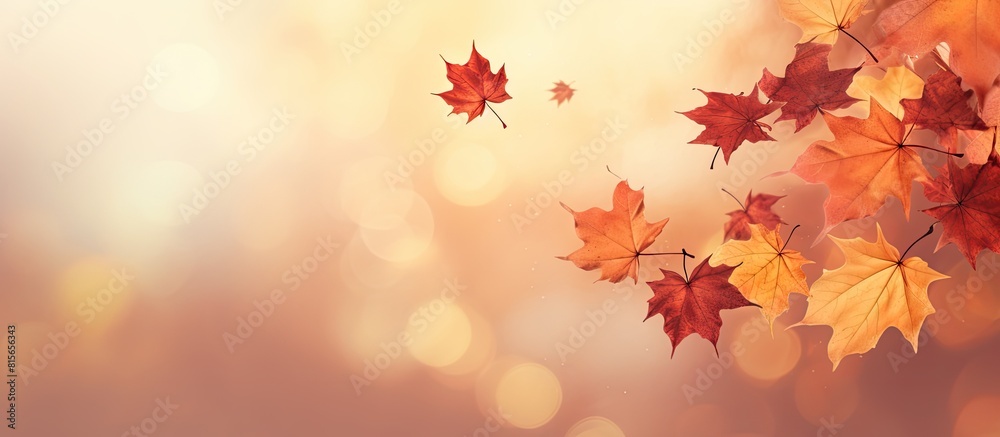 Flying autumn maple leaves isolated on warm autumn background Fall leaves for black friday sale and Halloween price drop or seasonal banner with autumn foliage. copy space available Flying autumn maple leaves isolated on warm autumn background Fall leaves for black friday sale and Halloween price drop or seasonal banner with autumn foliage. copy space available