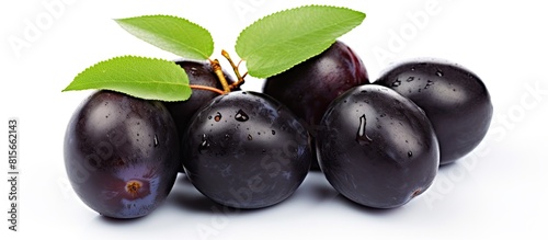 Closeup of Malabar Plum or Jamun Isolated on White Background with Copy Space Also Known as Black Plum Jambolan or Syzygium Cumini