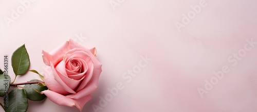 Bouquet of pink roses on light background greeting card place for txt. copy space available