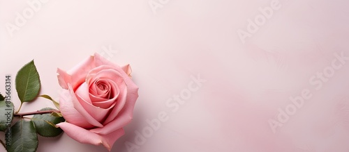 Wallpaper Mural Bouquet of pink roses on light background greeting card place for txt. copy space available Torontodigital.ca