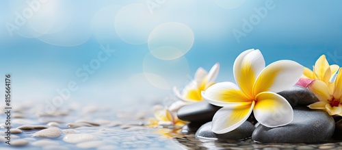 Flower yellow white plumeria or frangipani on pebble and water with peaceful mediatation or spa relax feeling and copy space