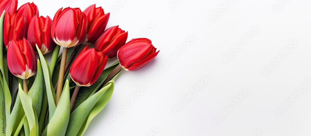 Bouquet red tulips on a white background Valentine Day and Mother Day copy space for design holiday concept Image for desktop and wallpaper close up Bouquet red tulips on a white background Valentine Day and Mother Day copy space for design holiday concept Image for desktop and wallpaper close up
