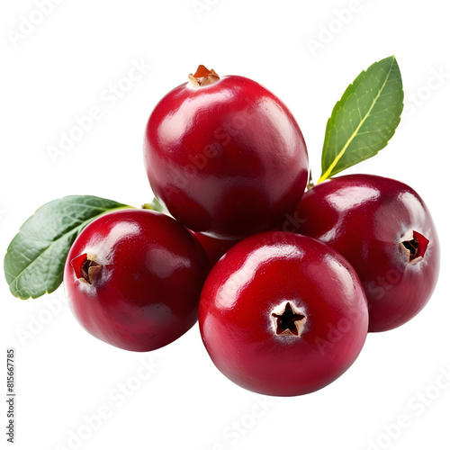 cranberry on transparent png background