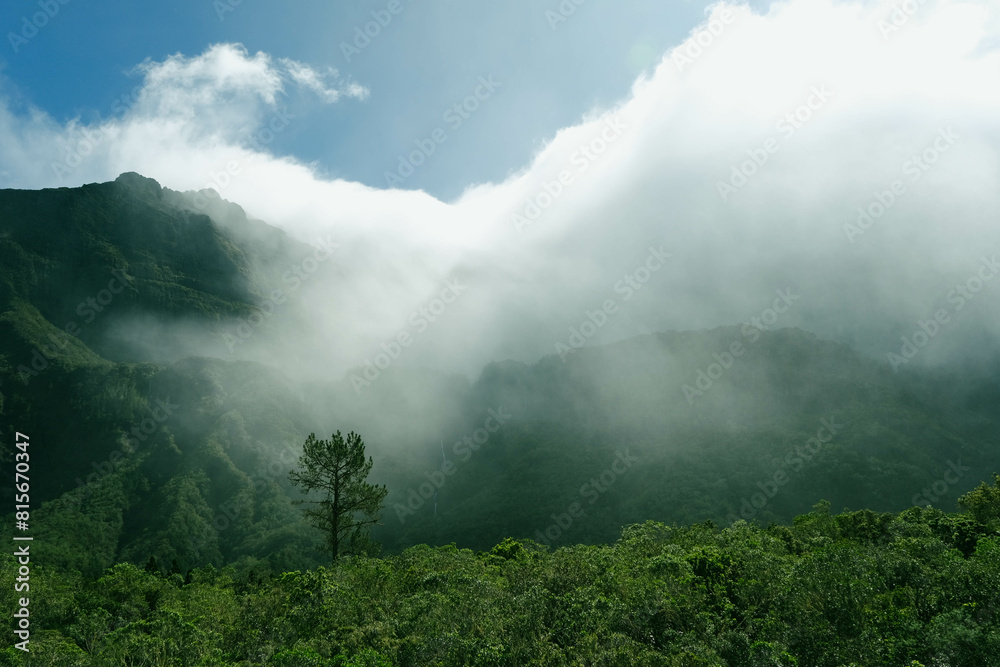 Fototapeta premium Foggy mountains