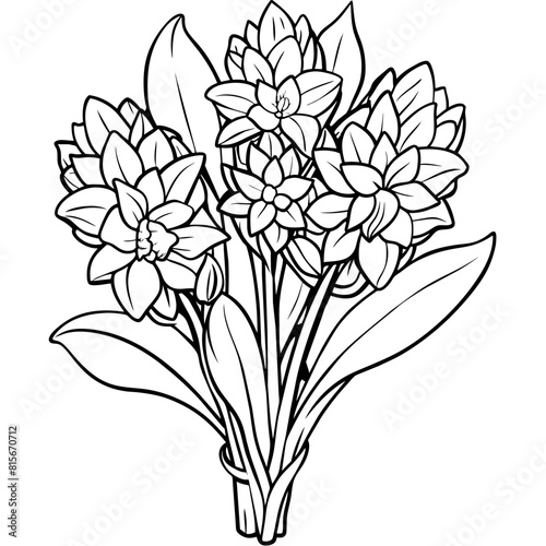 Hyacinth flower outline illustration coloring book page design  Hyacinth flower black and white line art drawing coloring book pages for children and adults 