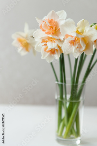 narcissus flower bouquet in small glass vase at home