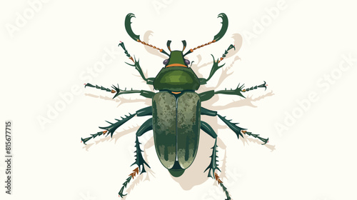 Top view office ground beetle with horns long legs 