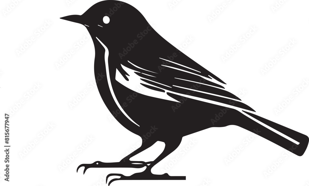 Fototapeta premium silhouette of a bird