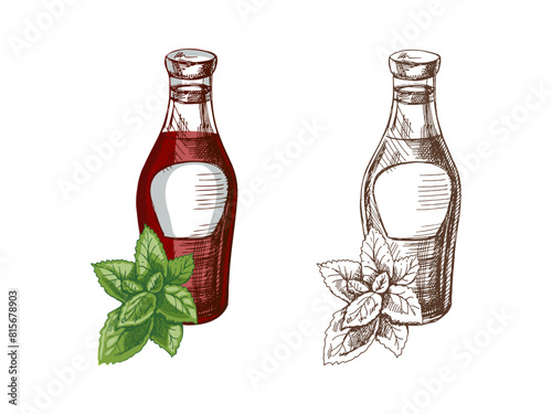 Hand-drawn colored and monochrome sketches of ketchup or sauce in a glass jar and a bunch of mint. For the design of the menu of restaurants and cafes, grilled food.