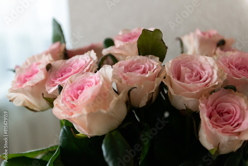 Beautiful colour pink roses bouquet close-up