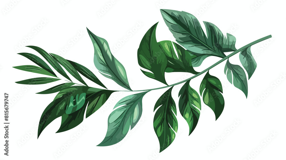 Tropical leaf plant with long leaves. Green branch 