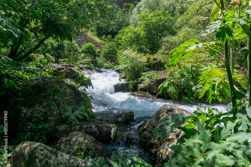 Mountain river in a gorge among trees and bushes. Tsalka canyon, Georgia