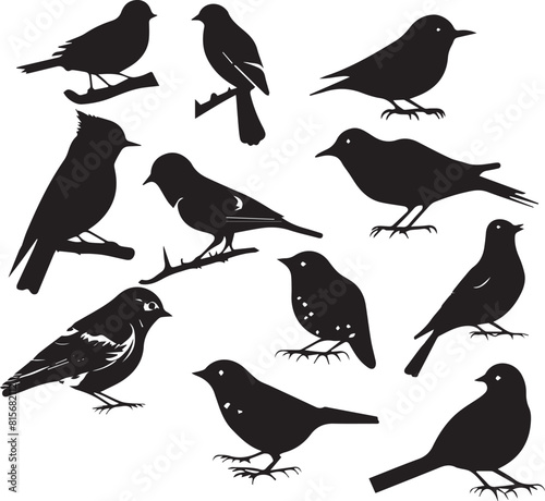 seamless pattern with birds