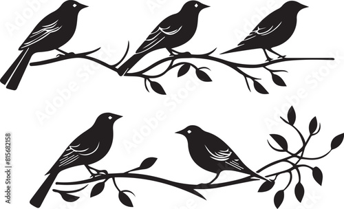 birds on a branch