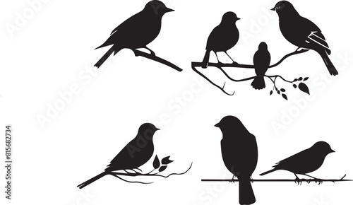 silhouettes of birds