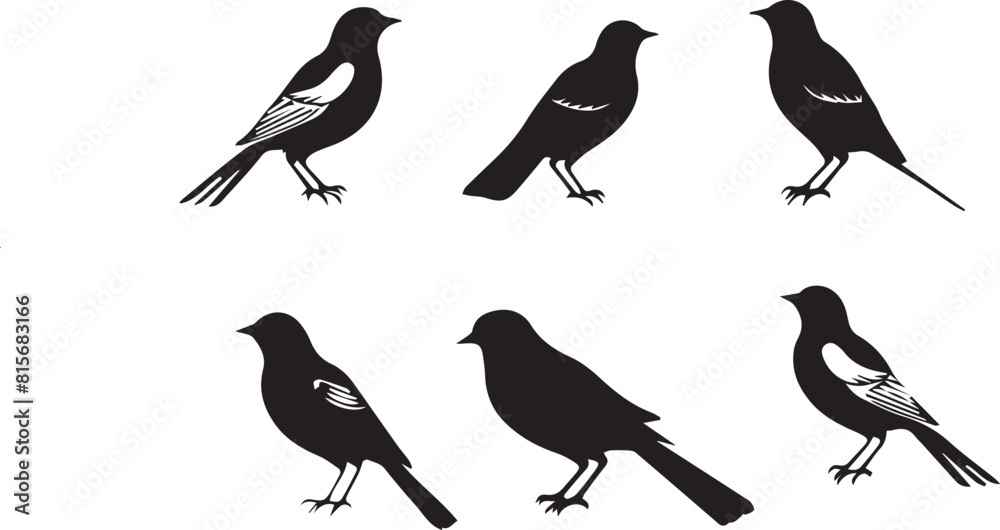 Obraz premium set of birds