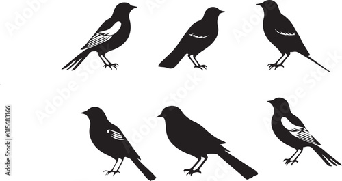 set of birds