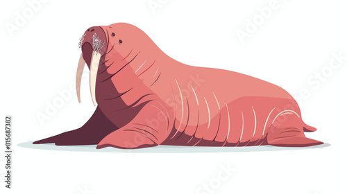 Walrus flat vector illustration. Nautical polar carnie photo