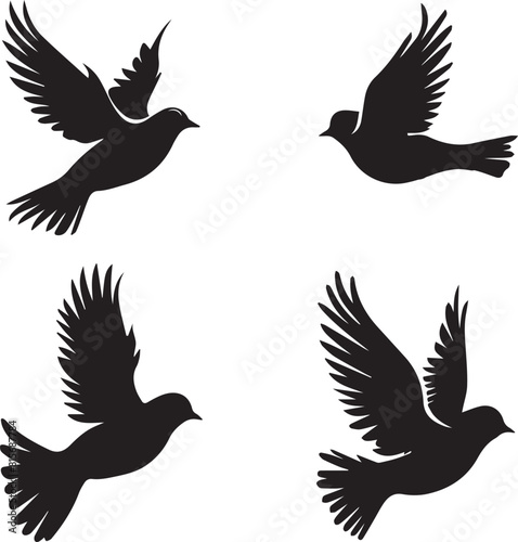 Photography silhouettes of birds