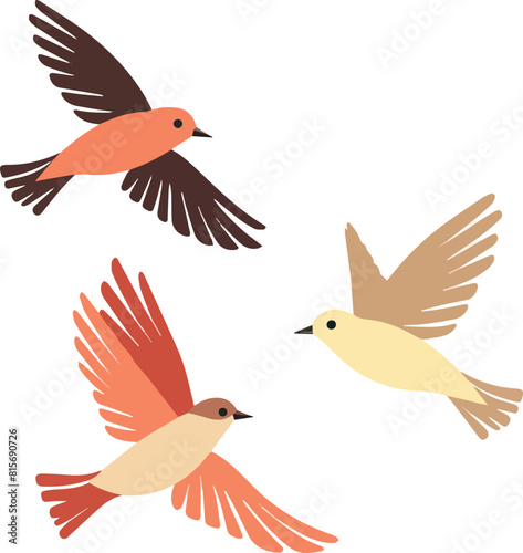 illustration of a birds