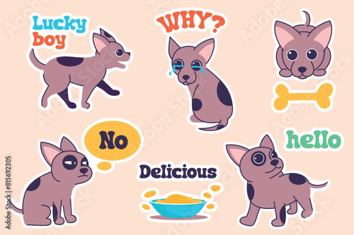 Set of stickers Chihuahua in flat cartoon design. A cute little chihuahua shows different emotions, happy and sad, in these wonderful colorful stickers. Vector illustration.