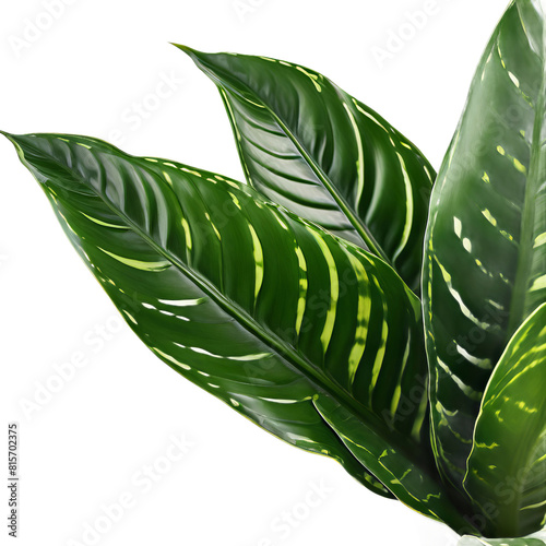 ai-generated item, rare, odd, high, snake plant leaf long and cylindrical with a patterned texture and a dark green color known fo photo