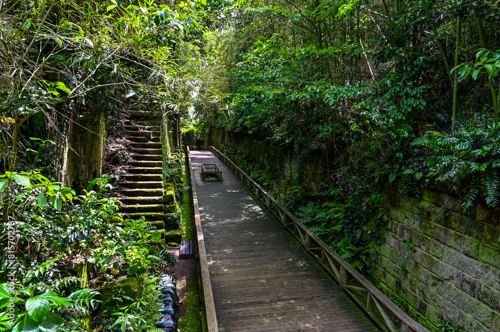 Obraz premium 東京湾にある無人島の猿島