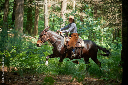 Cowgirl riding a mule in the forest