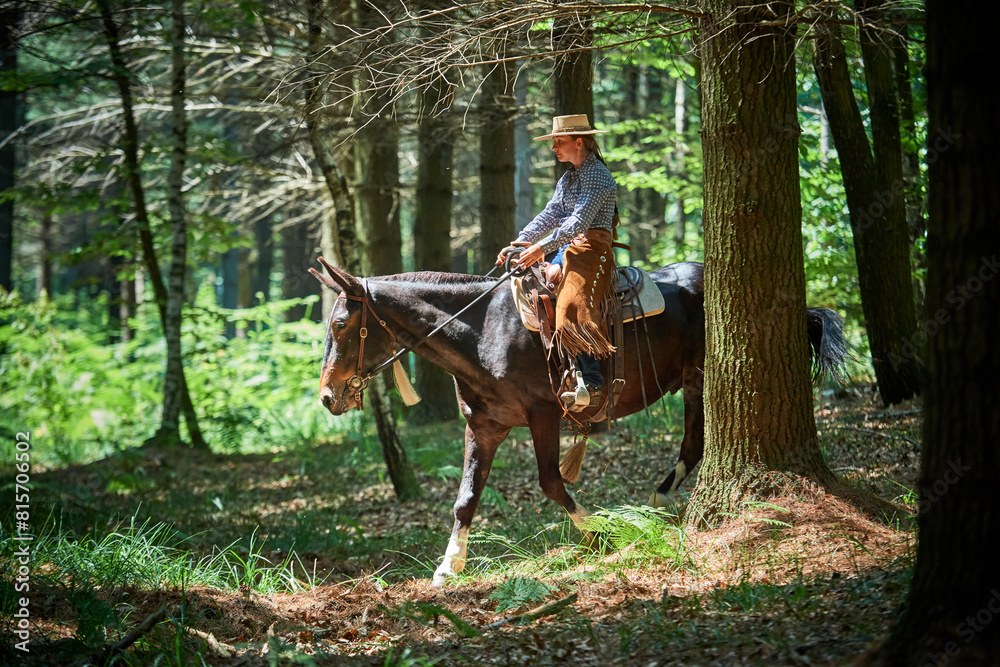Cowgirl riding a mule in the forest Cowgirl riding a mule in the forest