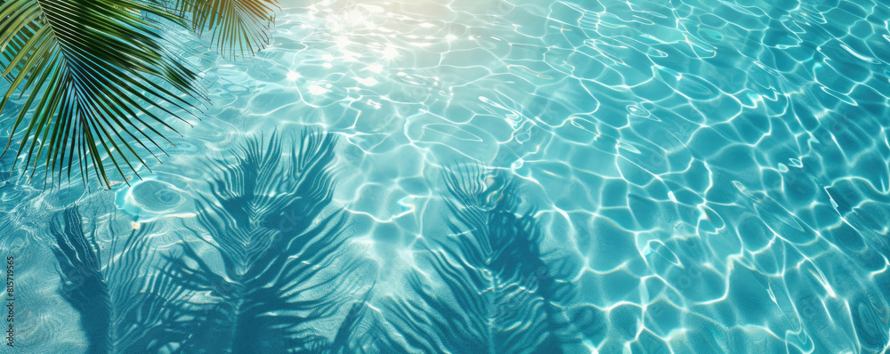 Palm Leaf Shadows and Water Ripples, An Abstract Background of Light and Shade Palm Leaf Shadows and Water Ripples, An Abstract Background of Light and Shade