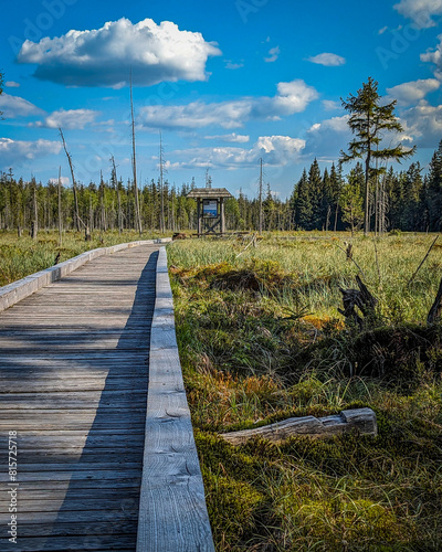 wooden bridge over lake
