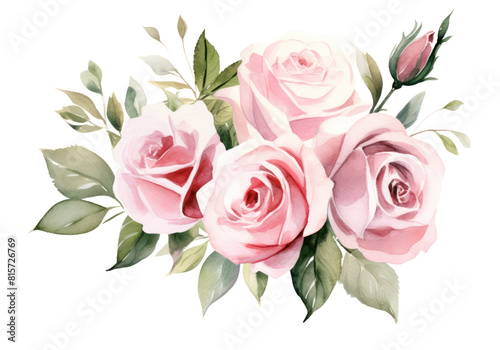Watercolor flowers for design card, postcard, textile, rose watercolor painting white creamy and pink flower. luxury wedding invitation cards.
