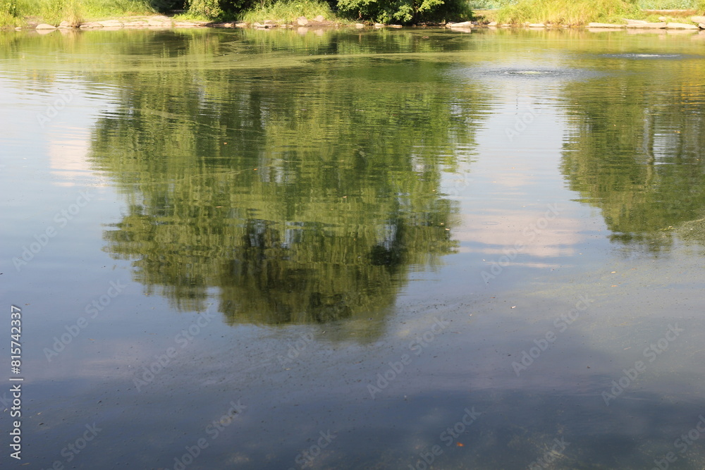 reflection of trees in water reflection of trees in water