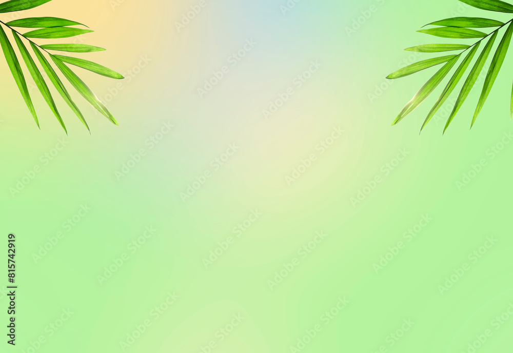 Creative layout made of green tropical leaves on white background. Minimal summer exotic concept with copy space. Creative layout made of green tropical leaves on white background. Minimal summer exotic concept with copy space.