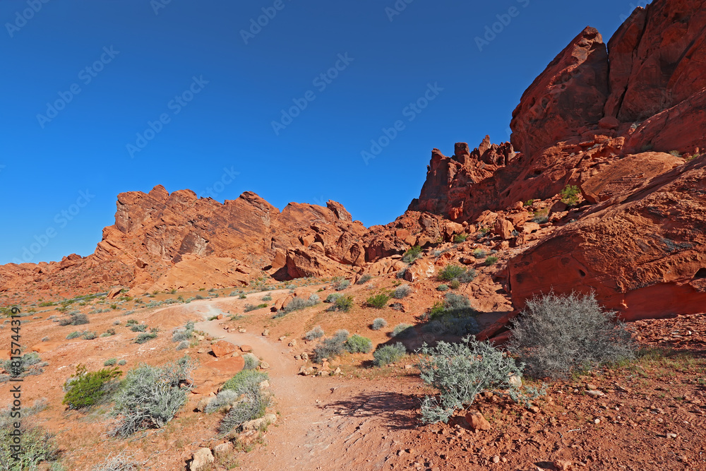 Fototapeta premium Red rock formations at Valley of Fire State Park, Nevada